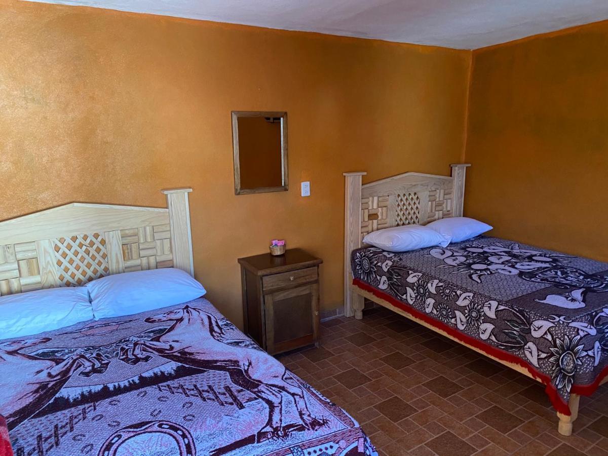 Hospedaje Alex Catorce Buitenkant foto