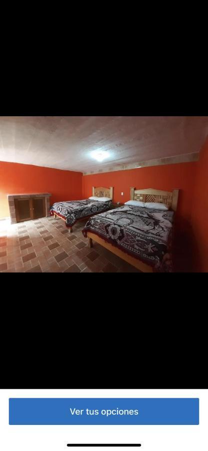 Hospedaje Alex Catorce Buitenkant foto